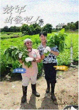 真人秀综艺分类